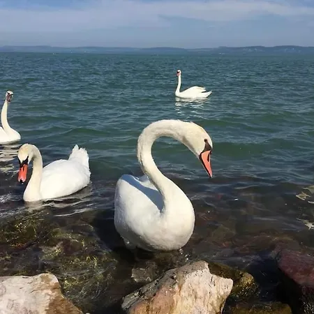 Panoráma Appartamento *